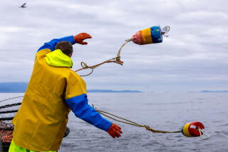 A crew member throws a crab buoy off a fishing boat.