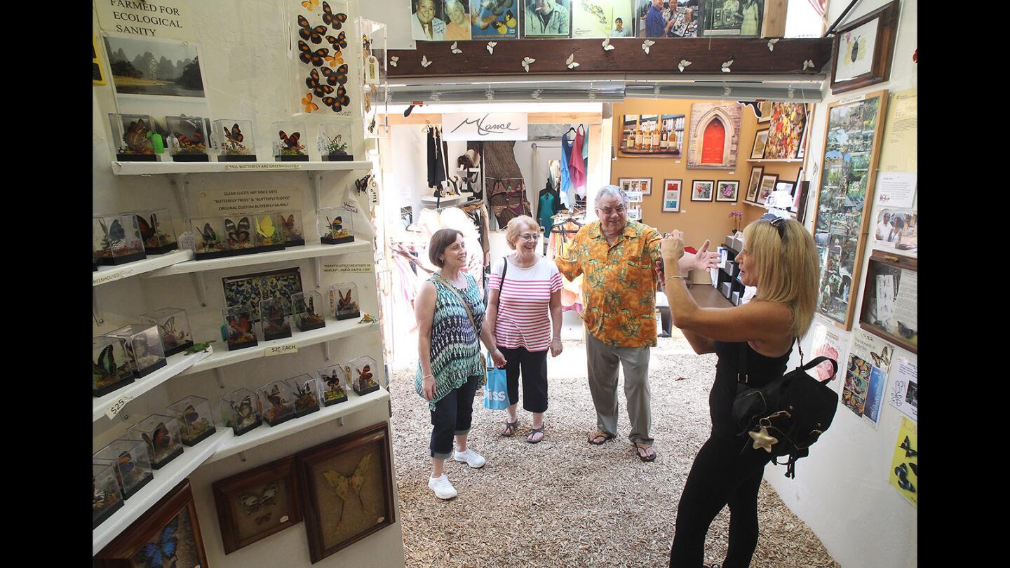 Sawdust Festival's Butterfly Man