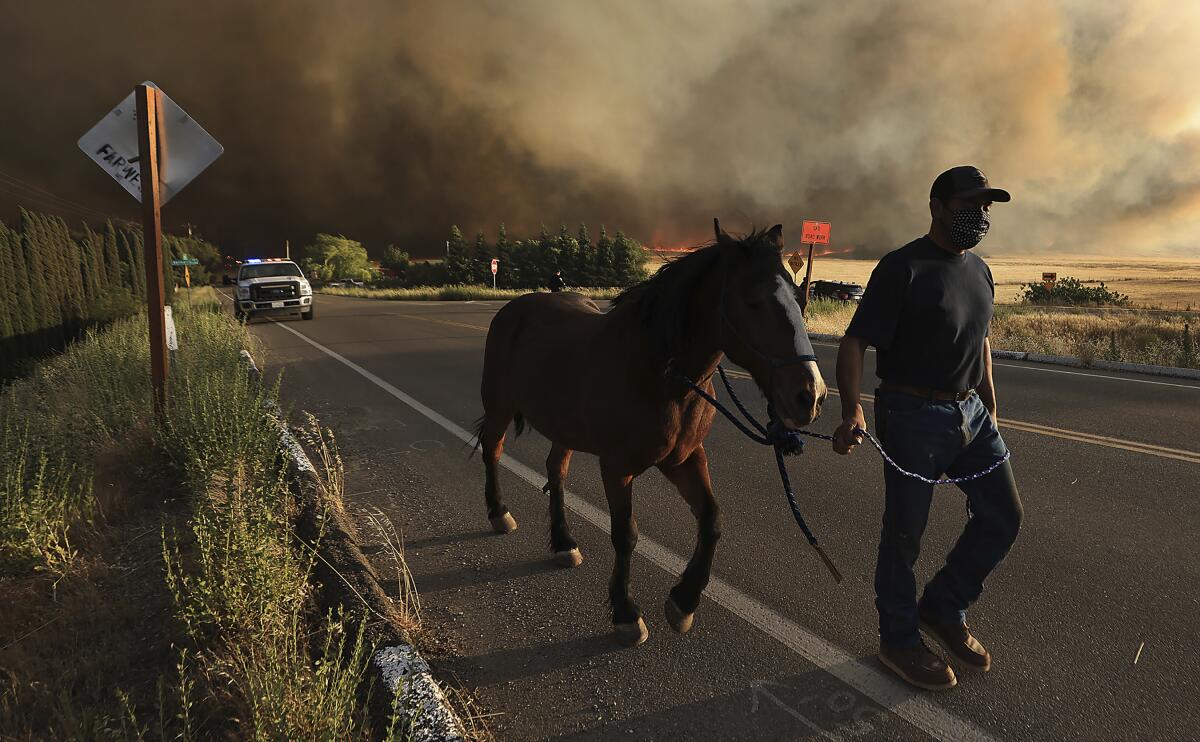 A resident evacuates his horse on a road with smoke in the background.