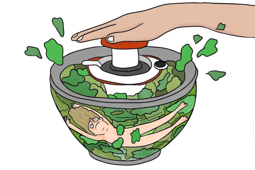 illustration of a woman with lettuce in a salad spinner