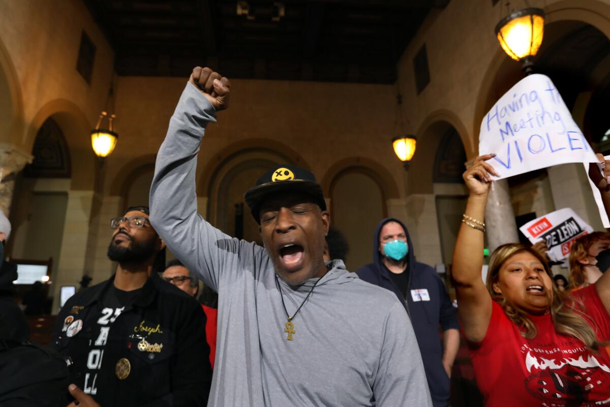 Protesters at a City Council meeting.