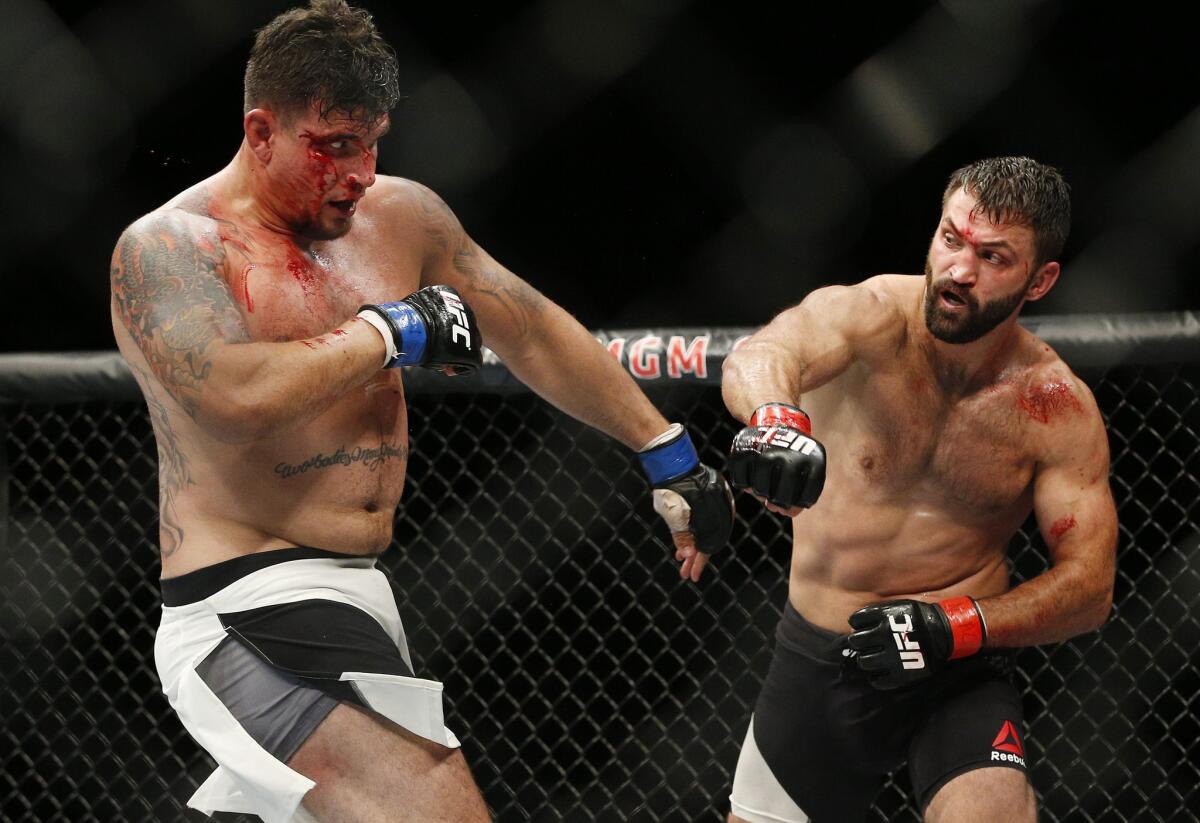 Andrei Arlovski, right, beat Frank Mir by unanimous decision Saturday at UFC 191 in Las Vegas.