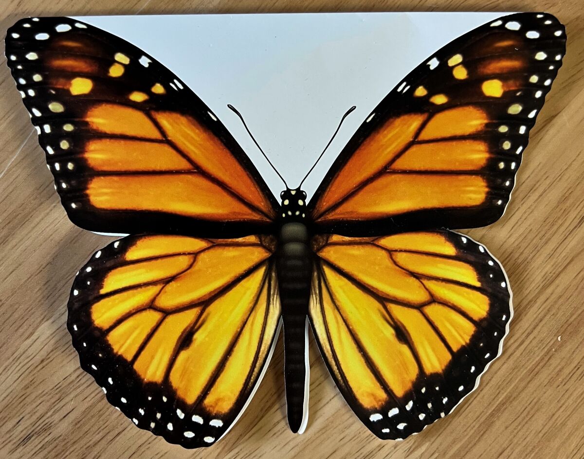 A monarch butterfly note card gifted to Amber Cambria by friend Sheila Plotkin, founders of the Butterfly Book Project.