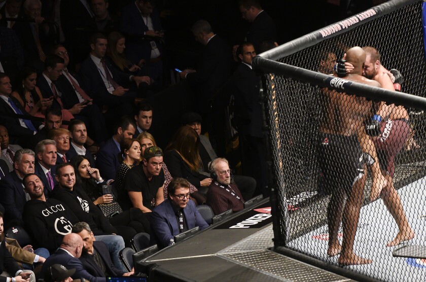 President Trump, third row, third from left, watches a fight during UFC 244.
