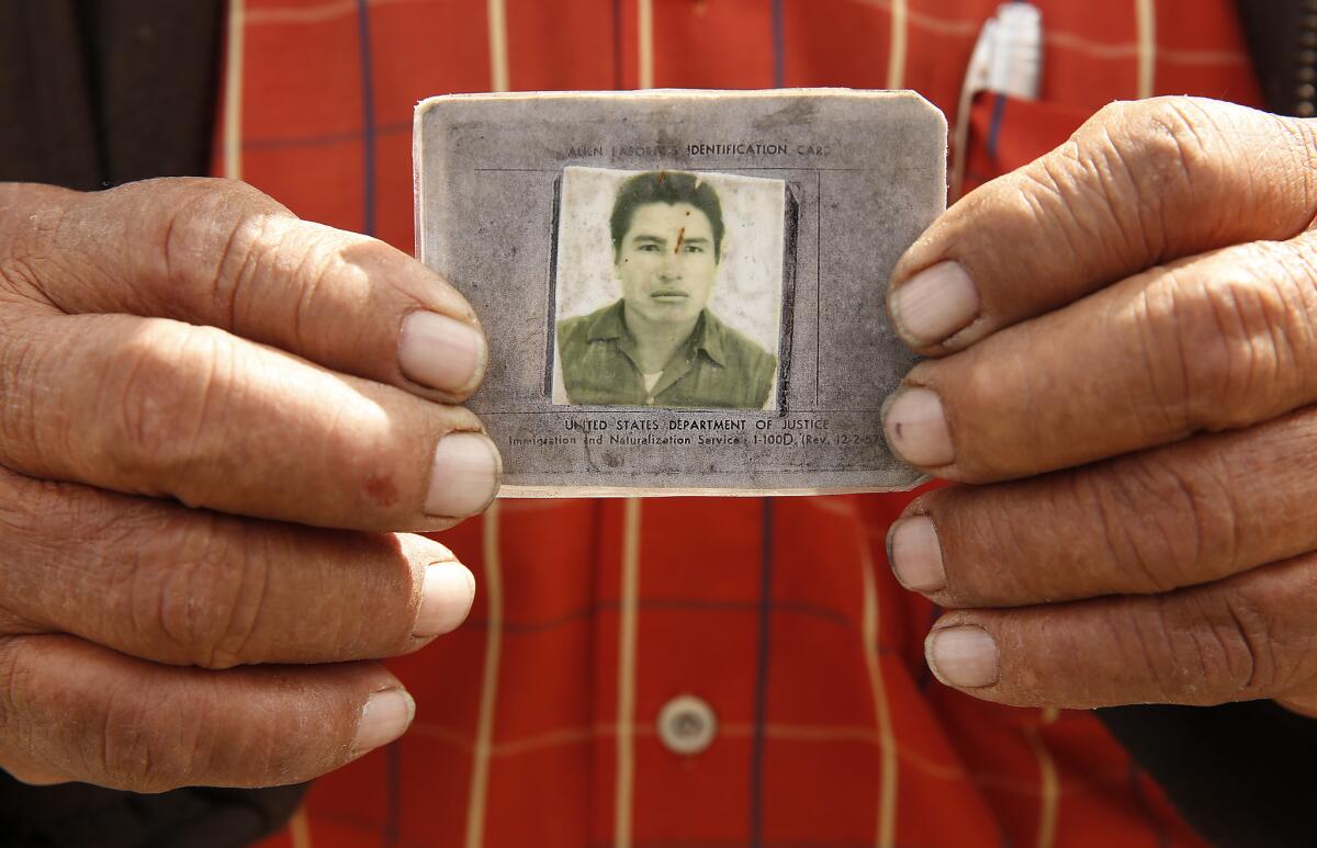 Leobardo Villa Bravo, 83, holds his labor card from 1959 when he entered the U.S. in Texas as part of the bracero guest-worker program.