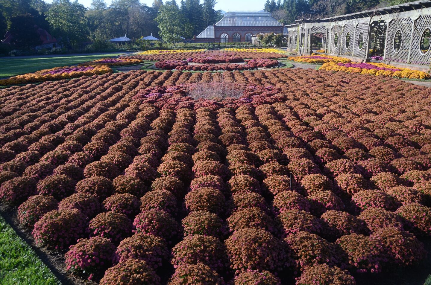 The Biltmore Estate, in Asheville, N.C., includes acres of seasonal gardens, along with a massive conservatory (in the background here) that keeps hothouse flowers going after autumn temperatures drop. Photo taken Oct. 23.