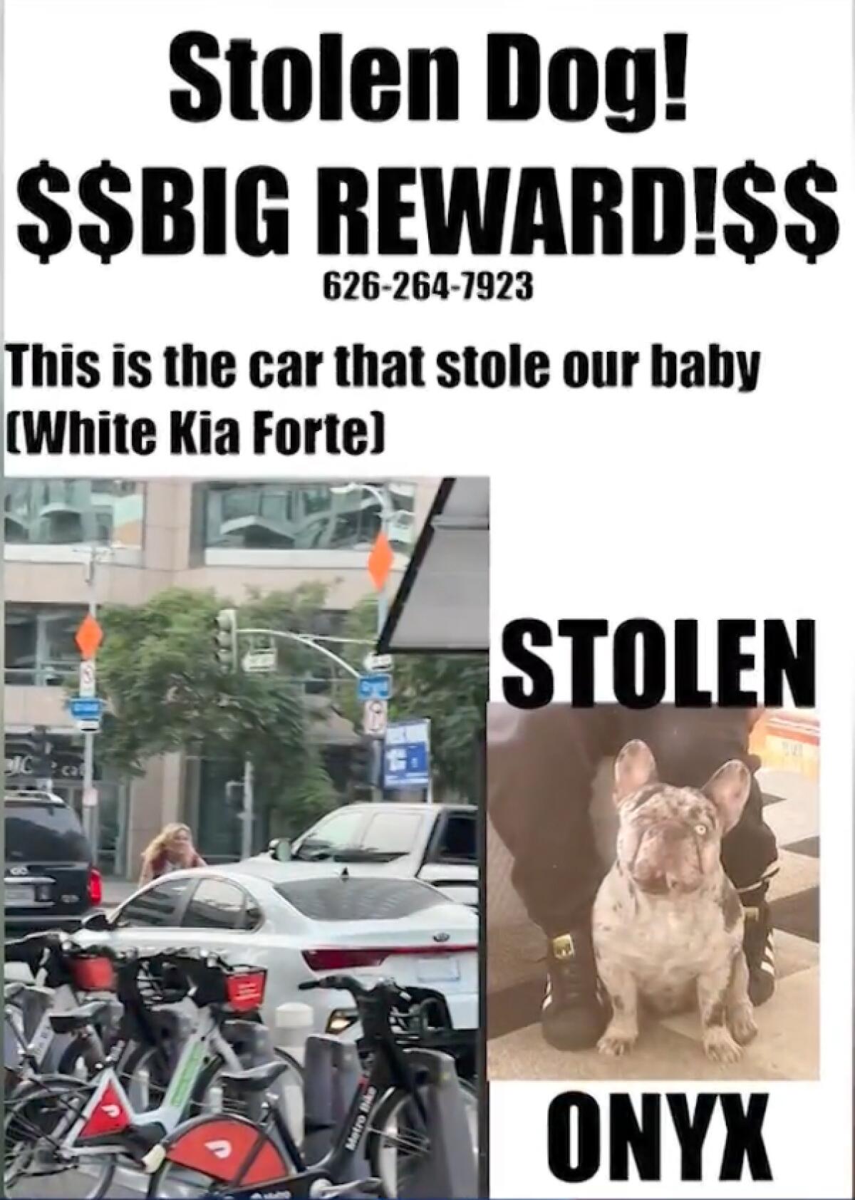 A sign says "Stolen dog!  Great reward!"