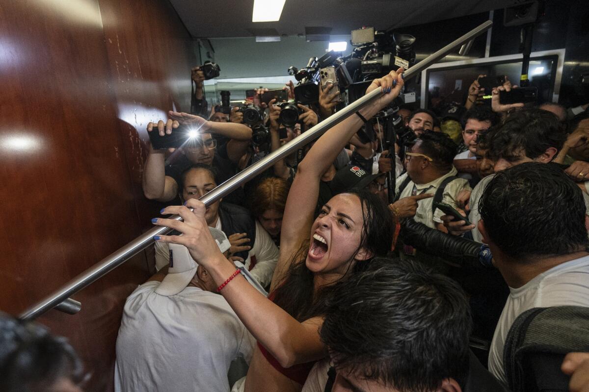 Amid a crowd of protesters, a woman shouts and holds a long pipe over her head.  