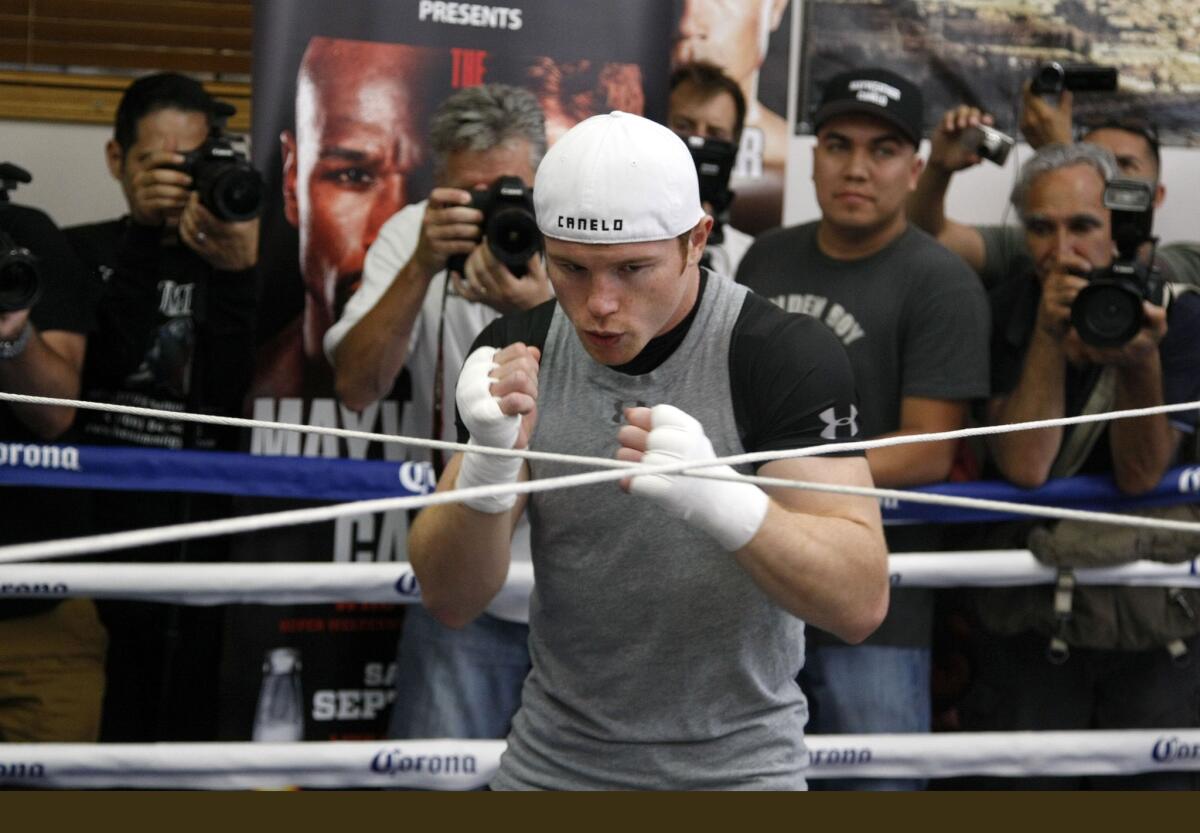 Saul "Canelo" Alvarez could make a decision on his next opponent as early as this week.