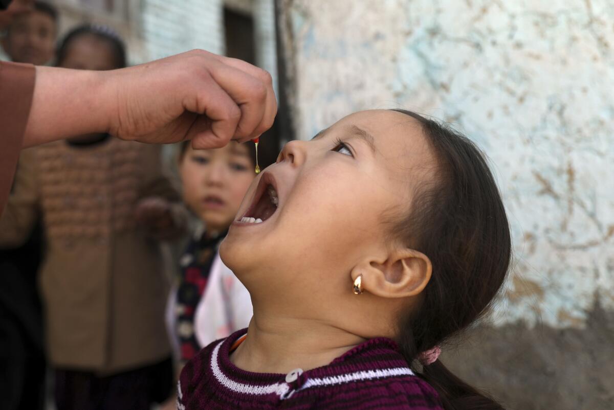 Shabana Maani, gives a polio vaccination to a child in the old part of Kabul, Afghanistan, Monday, March 29, 2021. Afghanistan is inoculating millions of children against polio after pandemic lockdowns stalled the effort to eradicate the crippling disease. But the recent killing of three vaccinators points to the dangers facing the campaign. (AP Photo/Rahmat Gul)