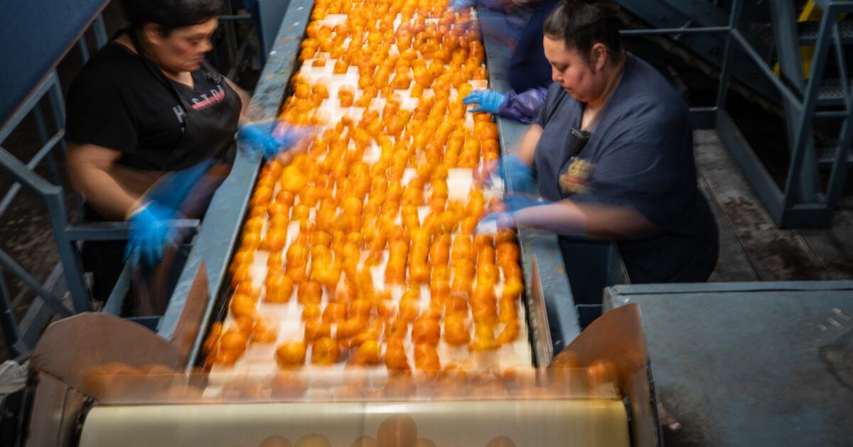 California farmers brace for consequences as Trump’s tariffs bring economic upheaval California farmers brace for consequences as Trump’s tariffs bring economic upheaval