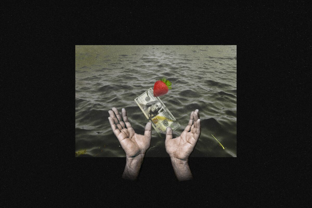 Hands underneath water with a strawberry and $100 bill floating above