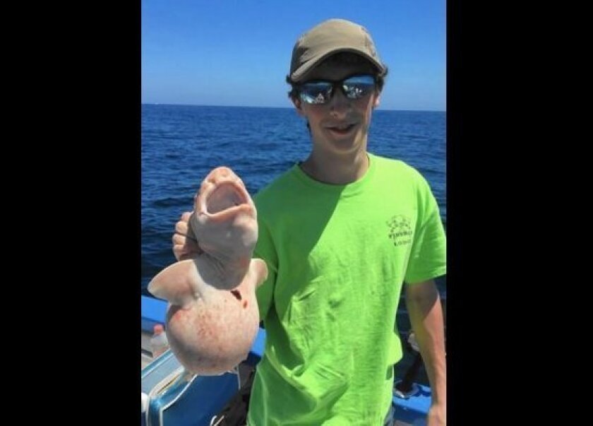 Scott McLaughlin, 18, of Oak Brook, holds up an albino Swell Shark he caught while fishing in the Sea Of Cortez near Cabo San Lucas, Mexico.