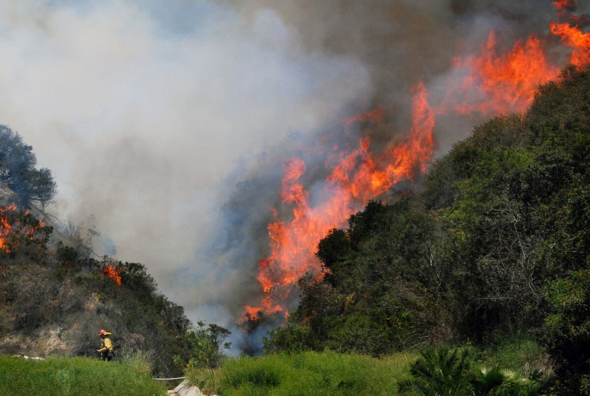 A U.S. Forest Service firefighter, bottom left, turns to flee as flames roar up a mountainside in the early stages of a brush fire that started in the foothills of Monrovia.