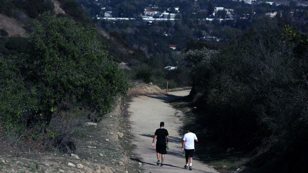 Walkers head down the Descanso Trail.