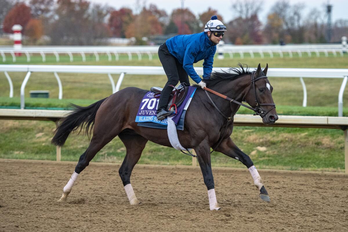 Blazing Sevens gallops ahead of the Breeders' Cup Juvenile at Keeneland Race Course in October.