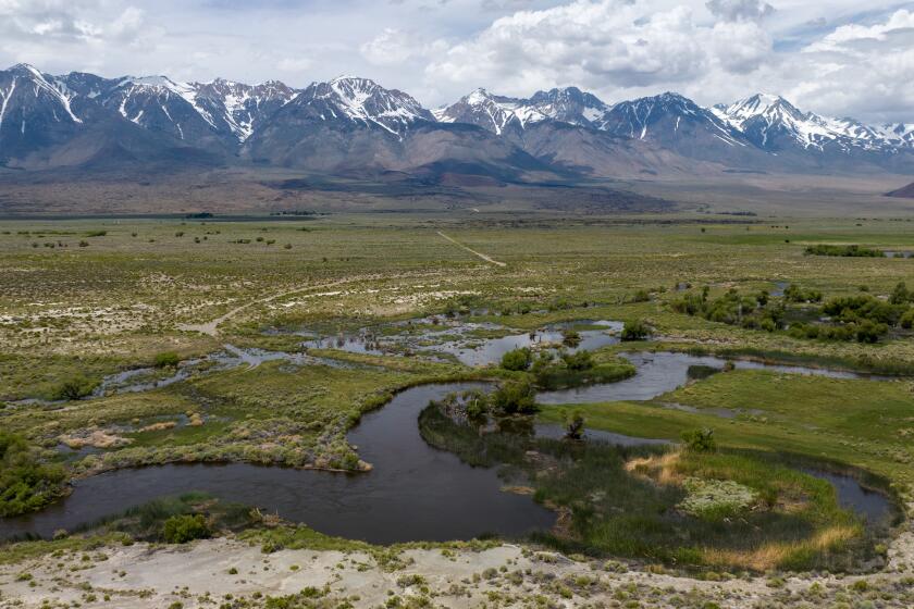 Aberdeen, CA - June 06, 2023: The Owens River flows south towards the Los Angeles Aqueduct intake through the Owens Valley on Tuesday, June 6, 2023 in Aberdeen, CA. (Brian van der Brug / Los Angeles Times)