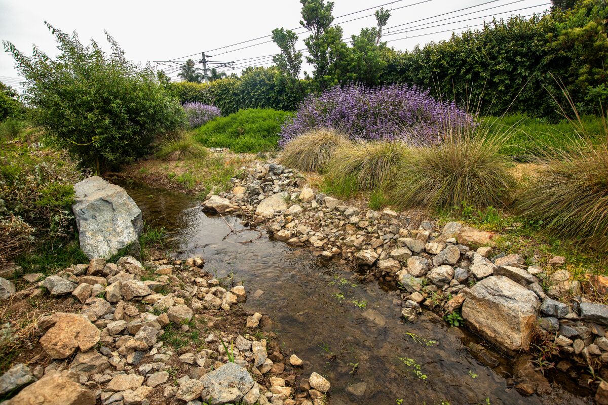 The man-made creek is fed by runoff water in the Westwood Greenway.