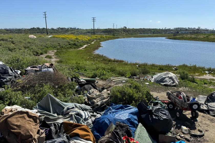 Pictured on Monday are some of the homeless encampments.