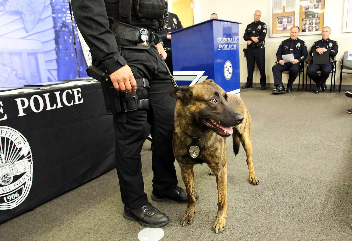 A police officer standing next to a dog wearing a badge