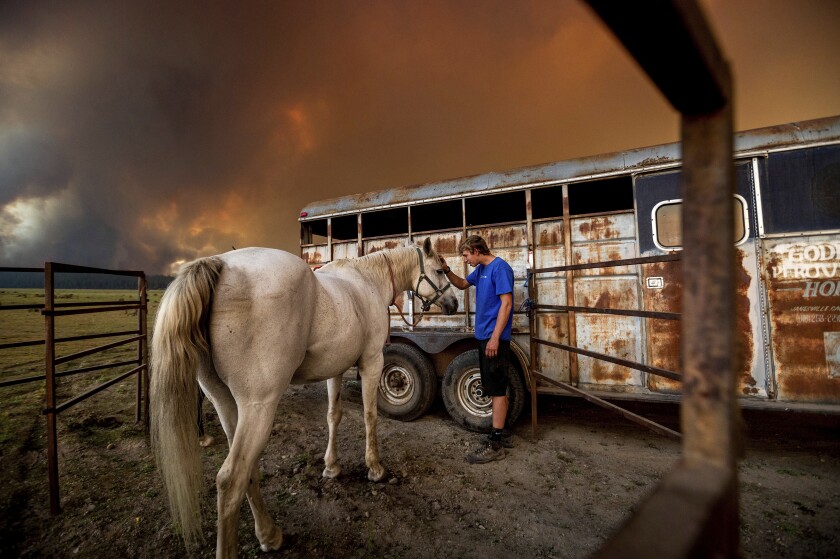 A man pets a horse as smoke looms in the background