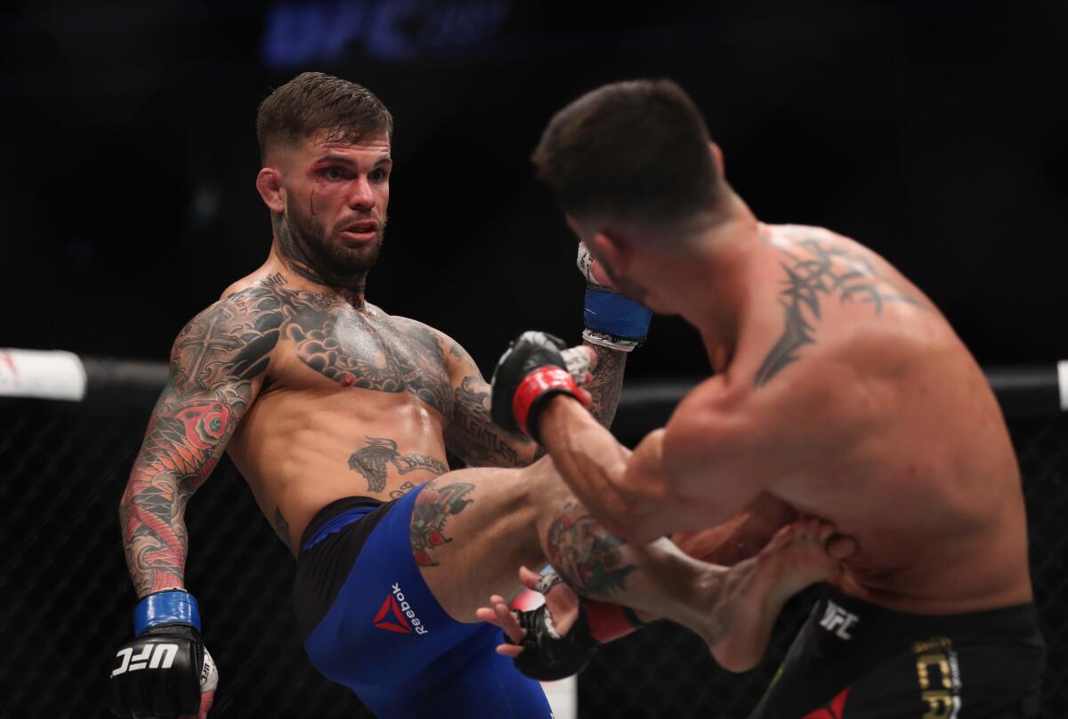 Cody Garbrandt, left, battles Dominick Cruz in the UFC bantamweight championship bout at UFC 207 on Friday in Las Vegas.