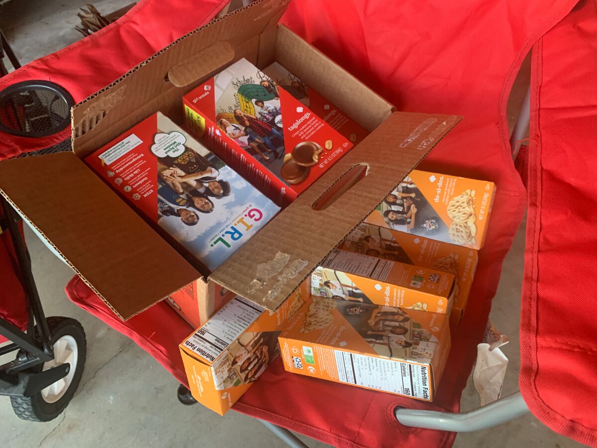 Box of tagalongs and dosi-does girl scout cookies in a red chair
