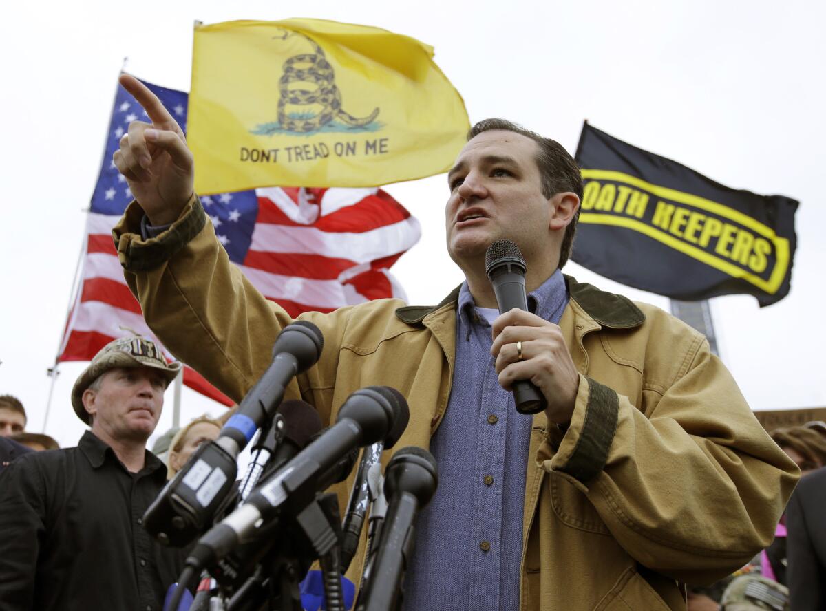 Sen. Ted Cruz (R-Texas) speaks at a rally in front of the World War II Memorial in Washington.