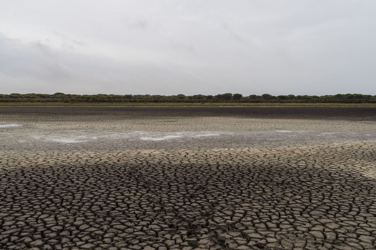 Tierra agrietada en un humedal seco en el parque natural Donana, en el suroeste de España, el miércoles 19 de abril de 2022. (AP Foto/Bernat Armangue, Archivo)