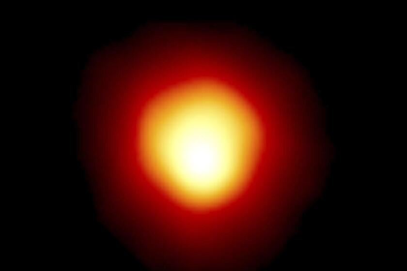 Esta imagen realizada con el Telescopio Espacial Hubble, distribuida por NASA el 10 de agosto de 2020, muestra la estrella Alpha Orionis, o Betelgeuse, una supergigante roja. La estrella, una de las más grandes y brillantes en el cielo nocturno, desaparecerá momentáneamente la noche del 11 al 12 de diciembre de 2023 al pasar frente a ella un asteroide. El eclipse será visible al ojo en una franja estrecha desde Tayikistán y Armenia en Asia a Turquía, Grecia, Italia y España, hasta Miami, los Cayos de la Florida y México. (Andrea Dupree (Harvard-Smithsonian CfA), Ronald Gilliland (STScI), NASA y ESA via AP)