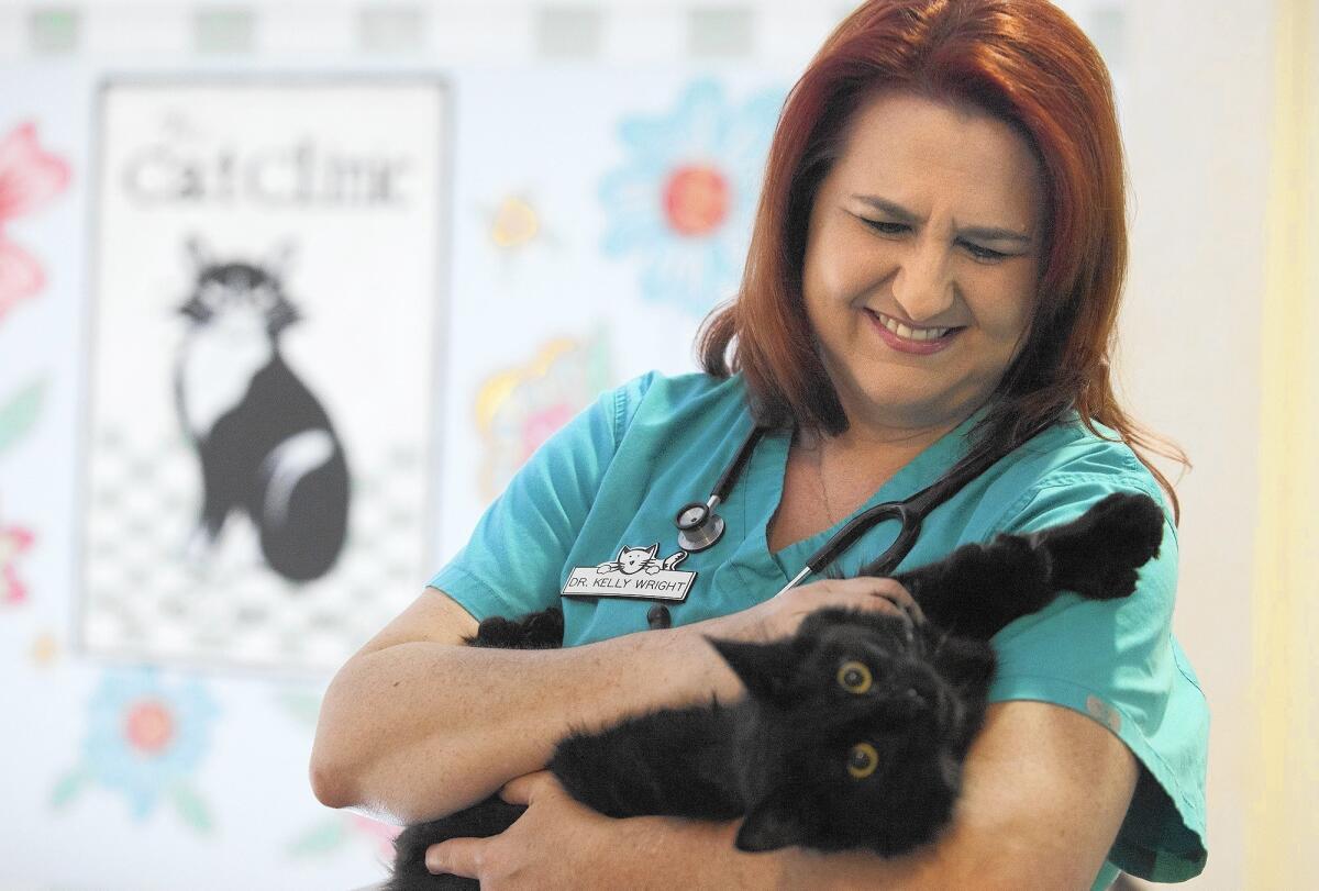 Dr. Kelly Wright plays with Danny at the Cat Clinic of Orange County in Costa Mesa. The facility is closing Monday.