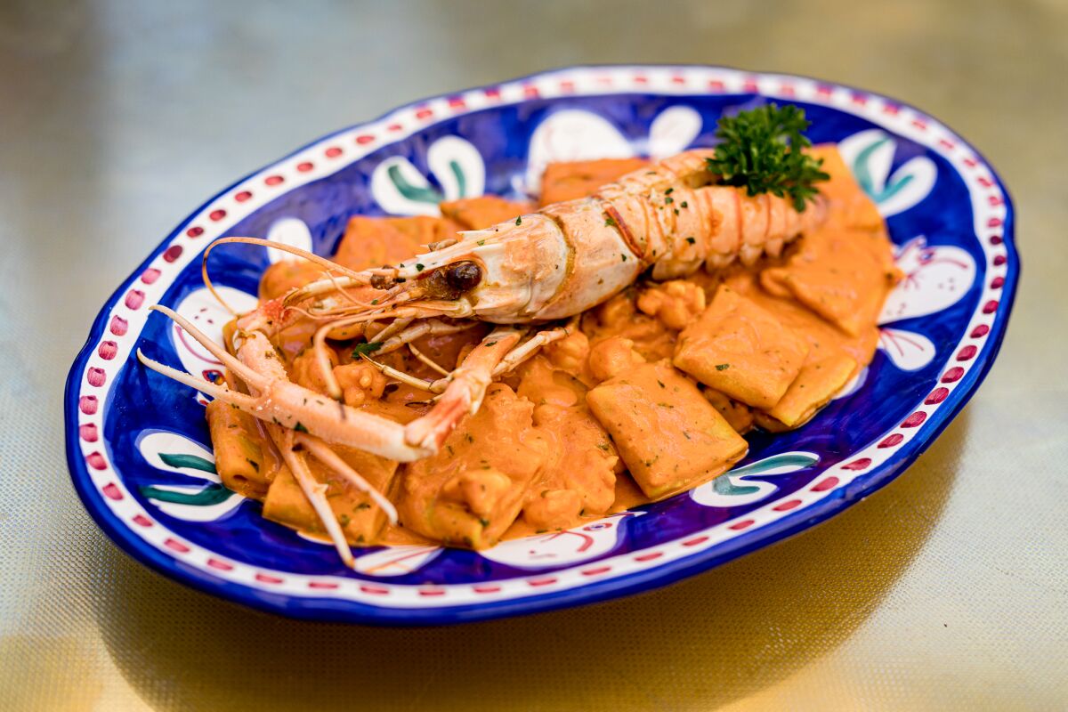 Paccheri alla vodka and scampi at Cesarina restaurant in Point Loma.