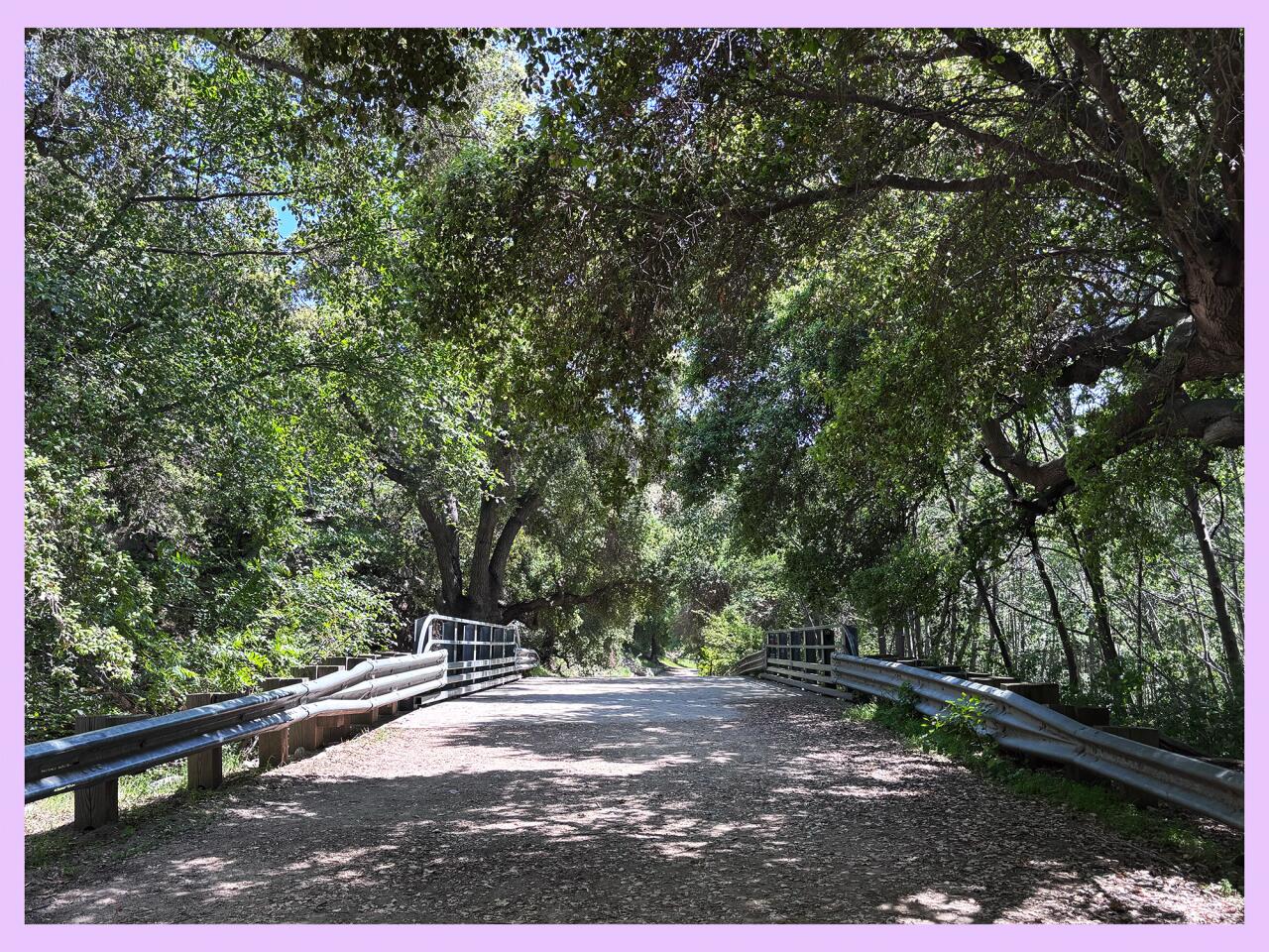 The view from the trail near Mt. Thom with an overlay of graphics.