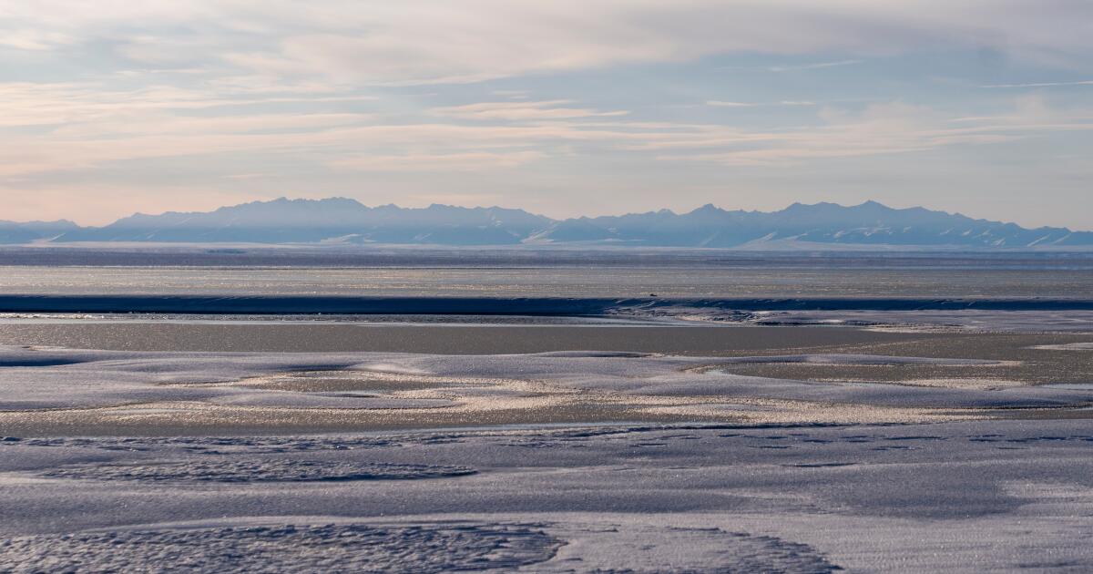 Nouvel achat de concession pétrolière et gazière à faible coût pour la réserve faunique nationale de l’Arctique en Alaska