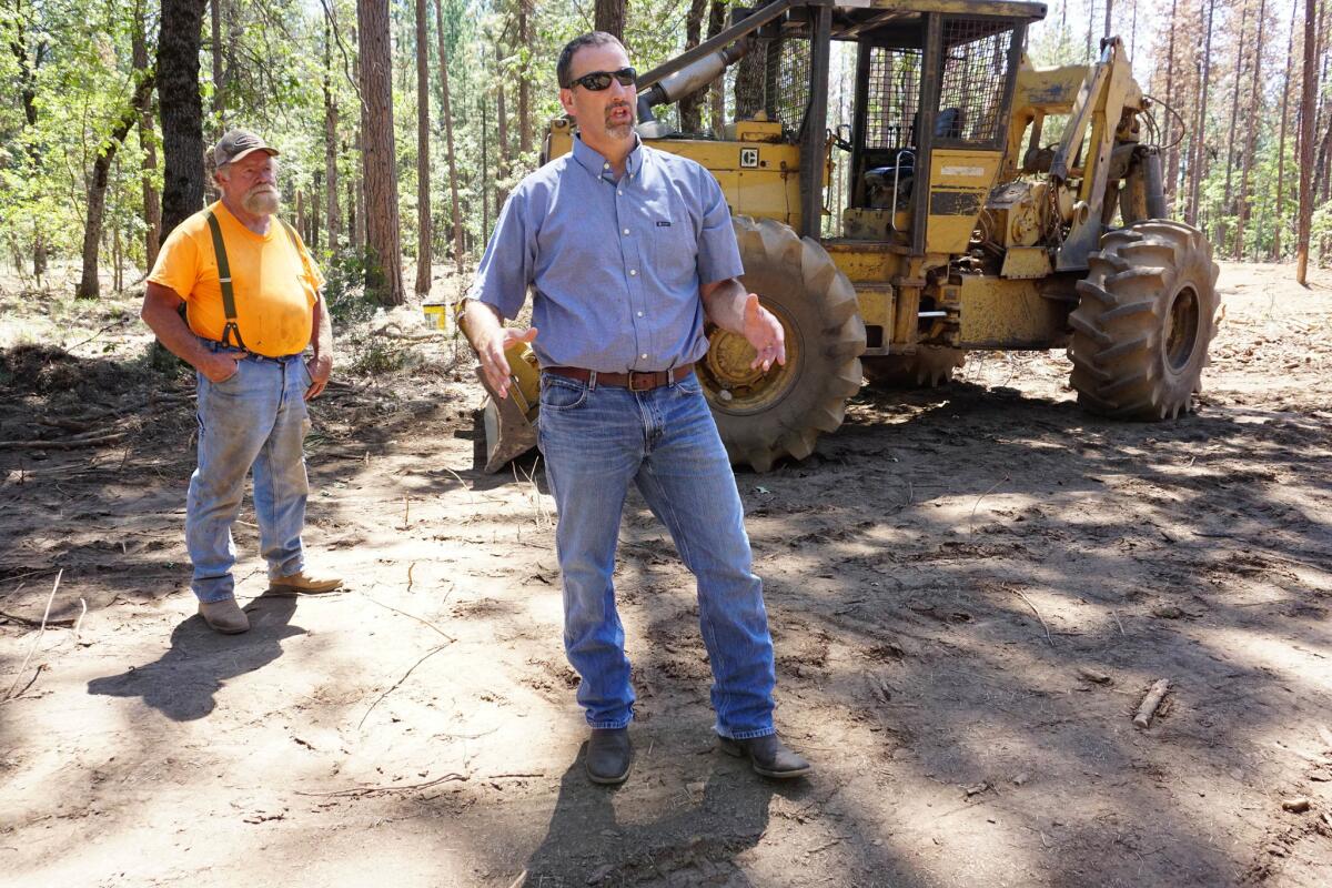 Assemblyman Brian Dahle (R-Bieber) talks about how thinning crowded trees will keep the forest healthy. In the background is logger Lonnie Blunt, 63, of Burney. Dahle proposed a bill last year that would direct cap-and-trade money to help offset the costs of biomass plants. (Hung T. Vu / For The Times)