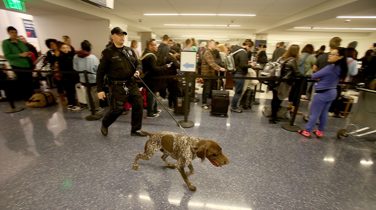 A police canine team sweeps through Terminal 5 at Los Angeles International Airport. Police responded to the discovery of several suspicious packages in three separate terminals on Wednesday.