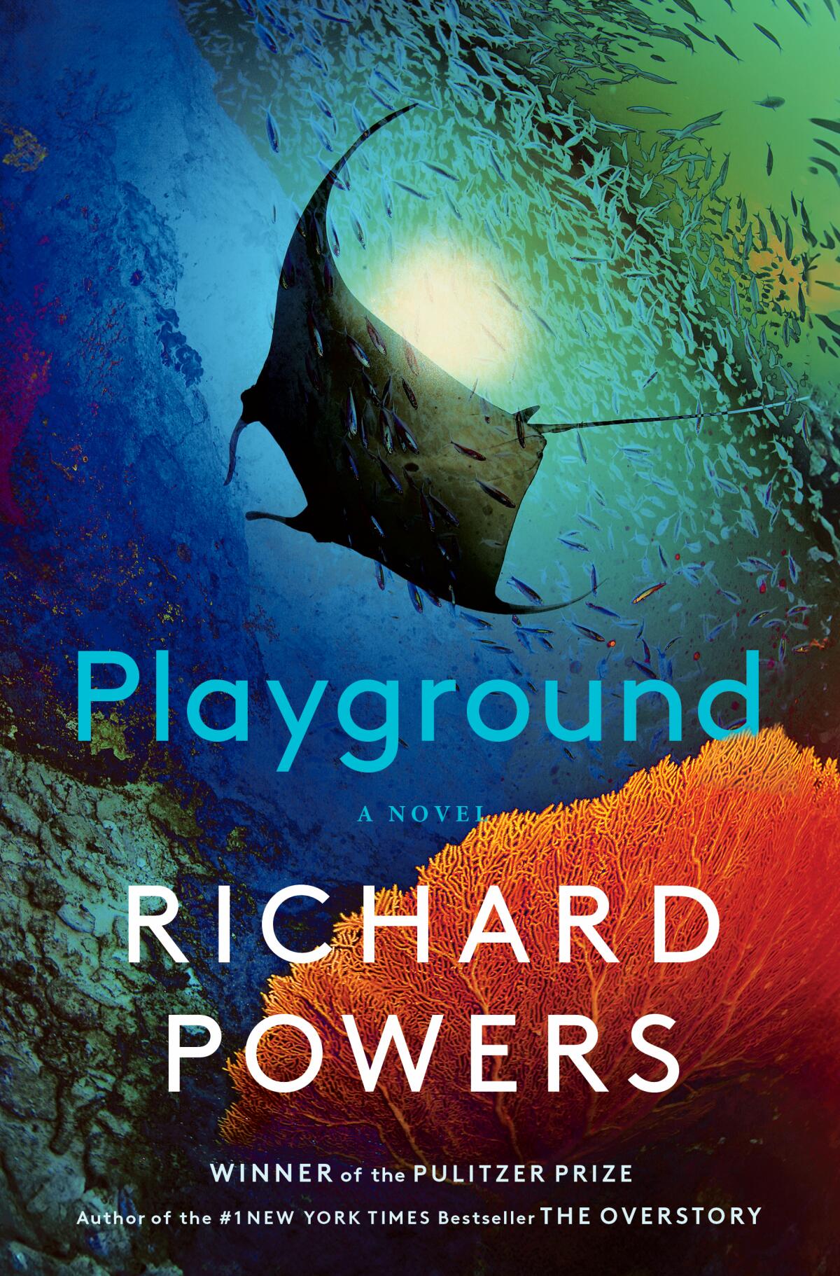 Cover art for "Playground" by Richard Powers