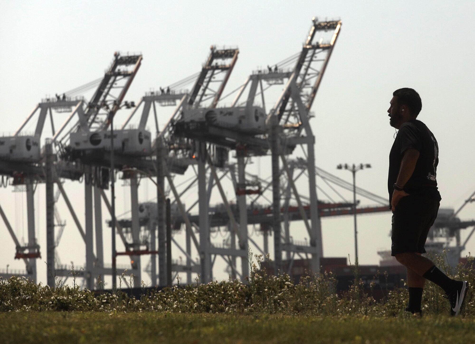 A man walks along the Wilmington Waterfront Park against a backdrop of cranes at the Port of Los Angeles in August 2020.