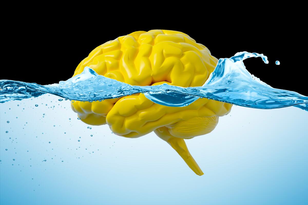 Illustration of a brain floating in water 
