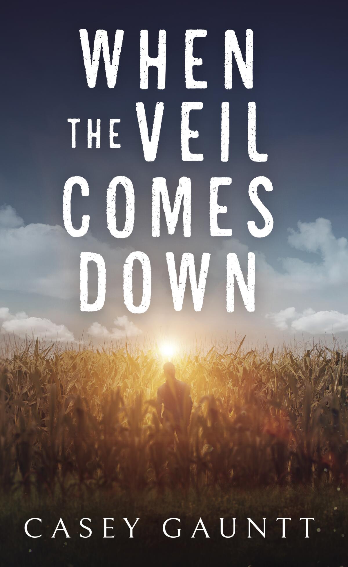 "When the Veil Comes Down" by Casey Gauntt, a 200-page book published March 2, 2021.