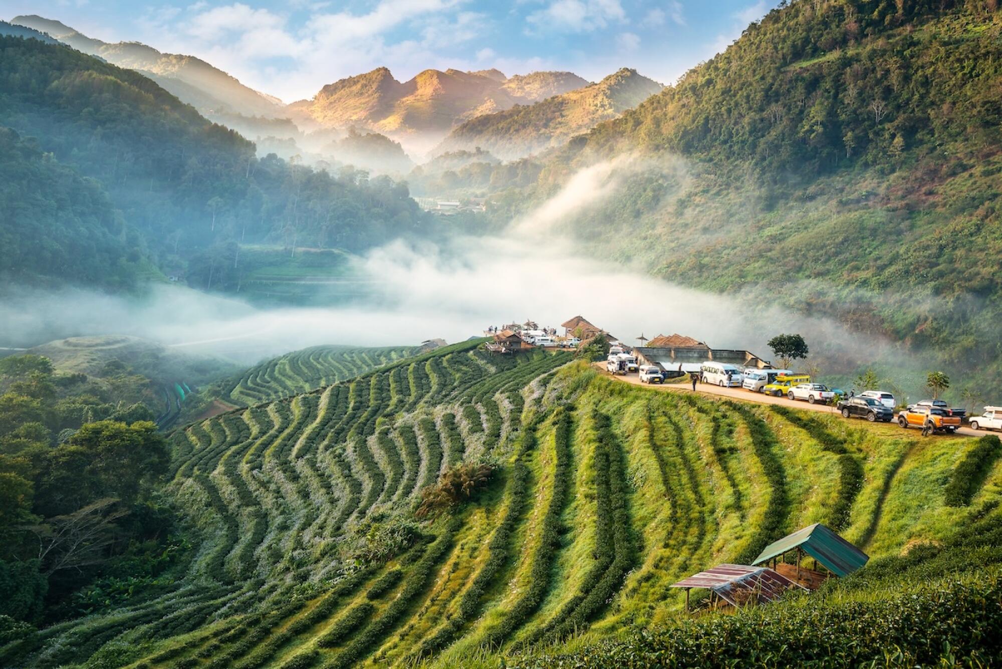Chiang Mai