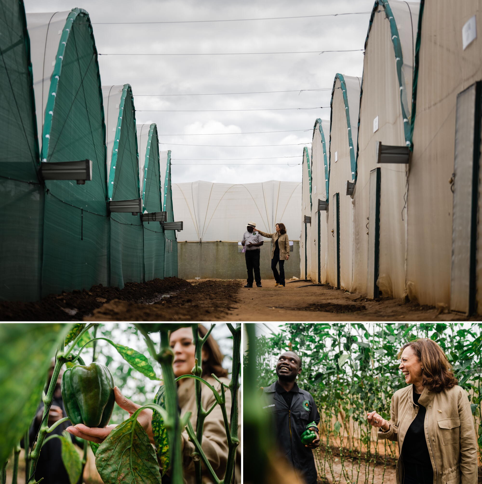 Panuka Photos: Embraced as the daughter of the nation, Harris visits Zambia ...