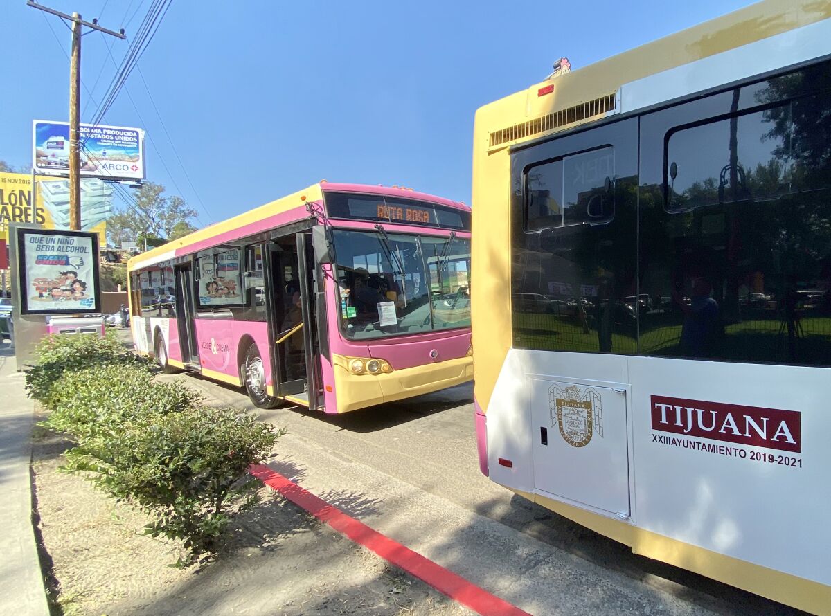 The first two pink buses in Tijuana on Oct. 23.