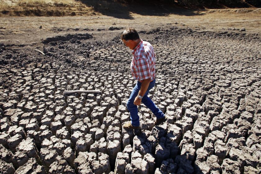 Rancher Jon Pedotti walks on the cracked remains of a parched lake bed of his  ranch in the foothills of Cambria.