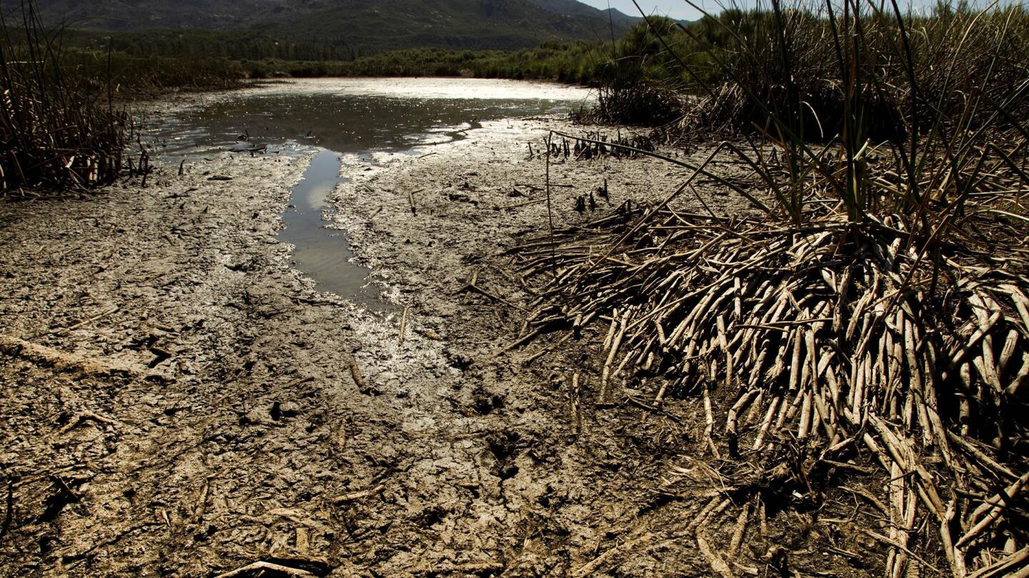 On Assignment: Focusing on the effects of California's persistent drought