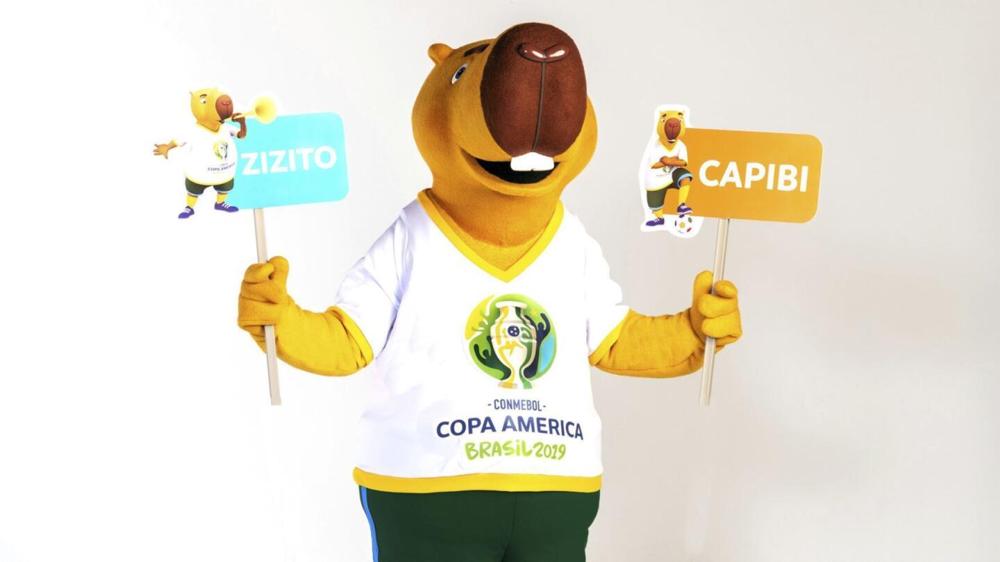 Esta foto de 2019, distribuida por el ComitÃ© Organizador de la Copa AmÃ©rica, muestra la mascota del torneo que se realizarÃ¡ del 14 de junio al 7 de julio en Brasil (Alexandre Loureiro-Copa America Brasil 2019 via AP)