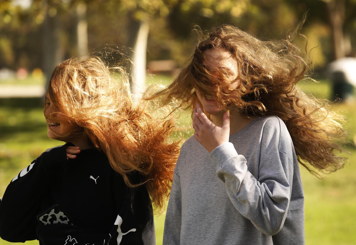Teenage friends' hair is out of control during Santa Ana winds in Encino last year 