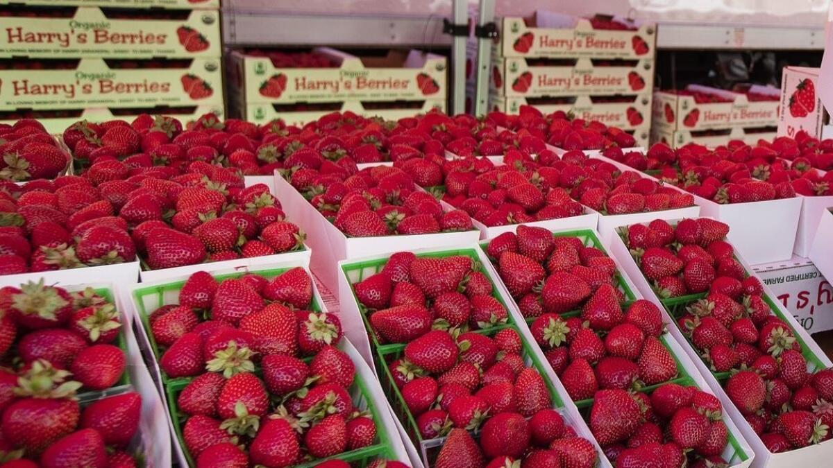 Seasonal strawberries make this Negroni extra special.