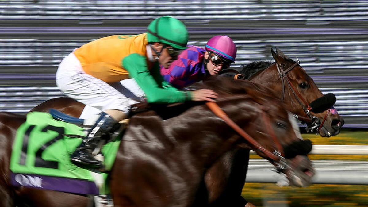 Obviously beats Om in the Breeders' Cup Turf Sprint race on Saturday at Santa Anita Park. To see more images, click on the photo above.