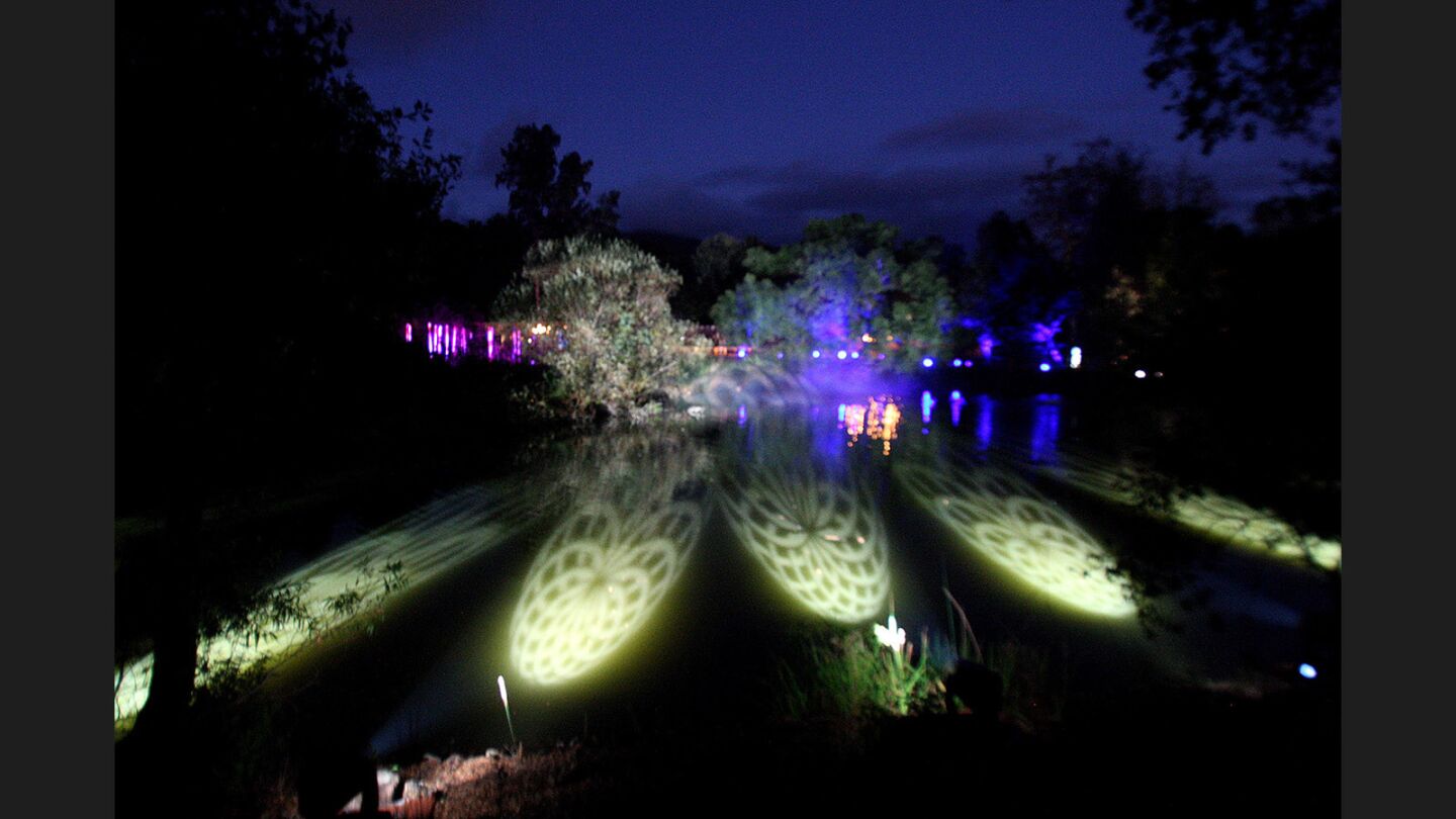 Photo Gallery: Descanso Garden's Enchanted: Forest of Light!